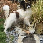 Amy